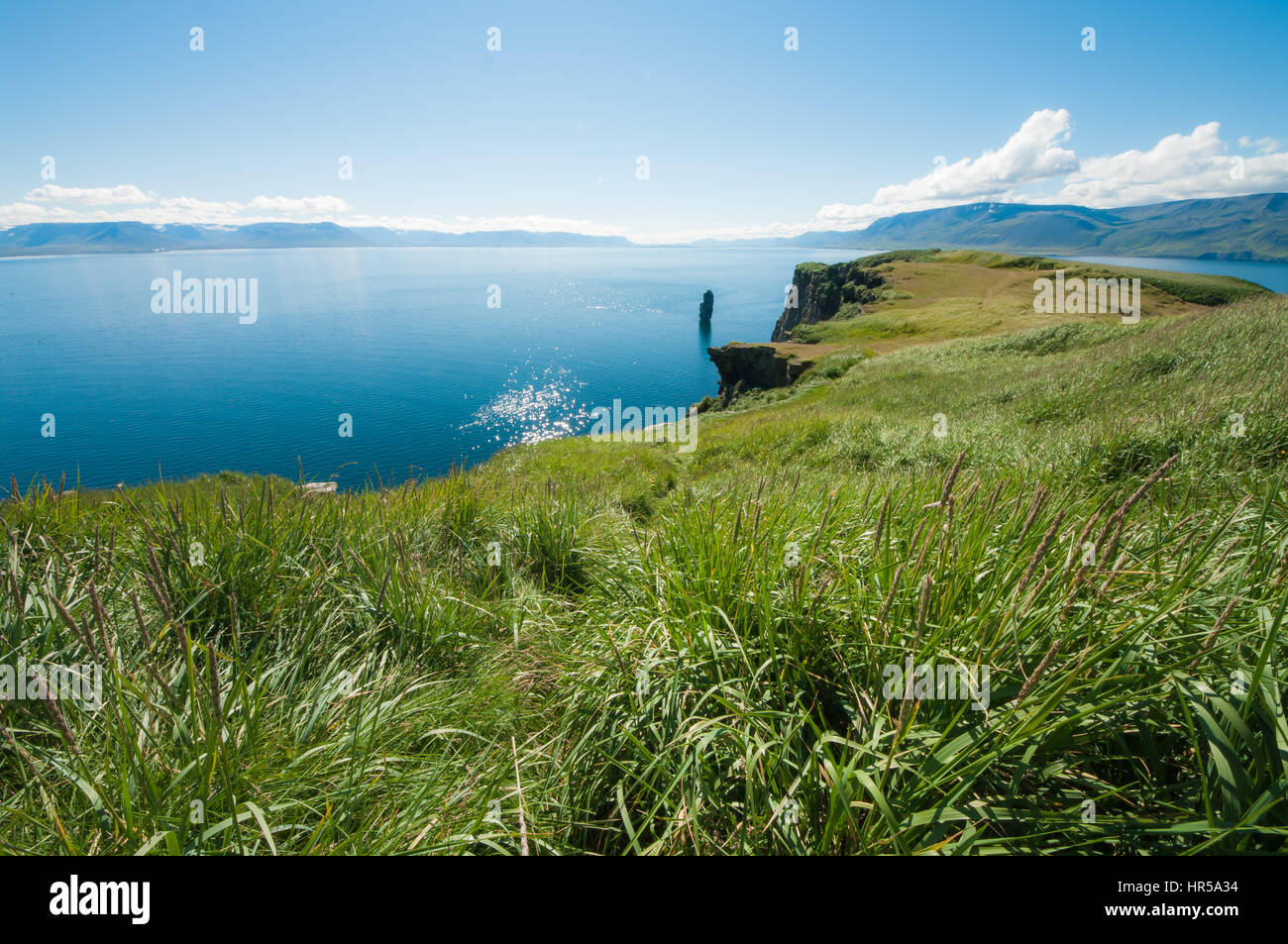 Grasses on top of Drangey Island overlooking sea with Iceland in distance Stock Photo