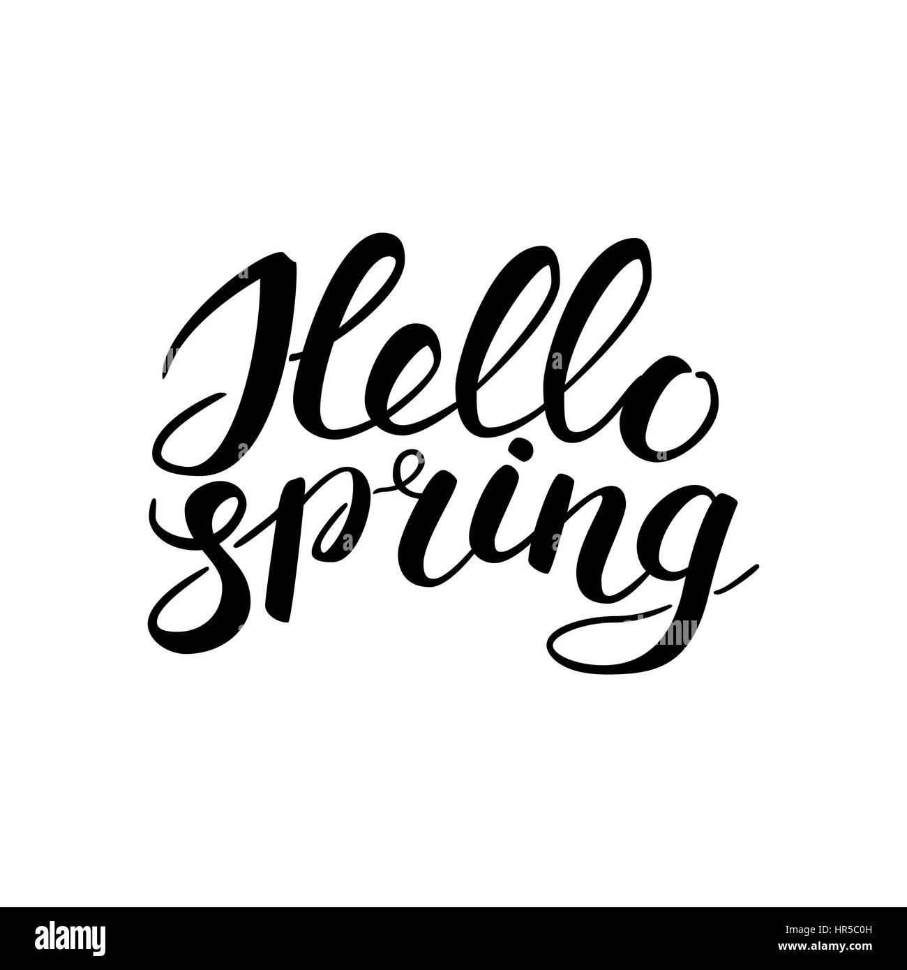 Phrase Hello spring Brush Pen lettering isolated on background ...