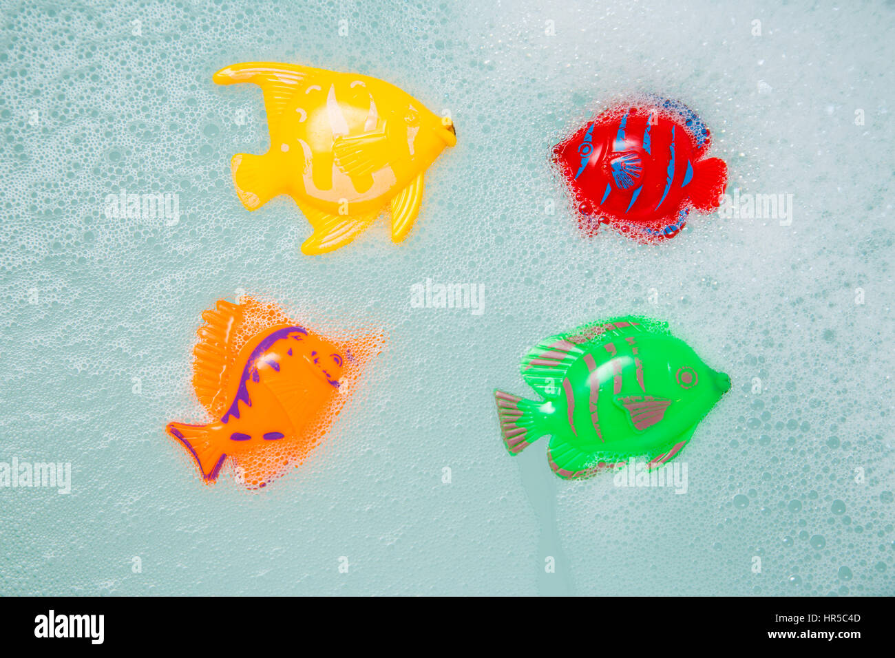 Bath toys fish in white foam bubbles Stock Photo Alamy