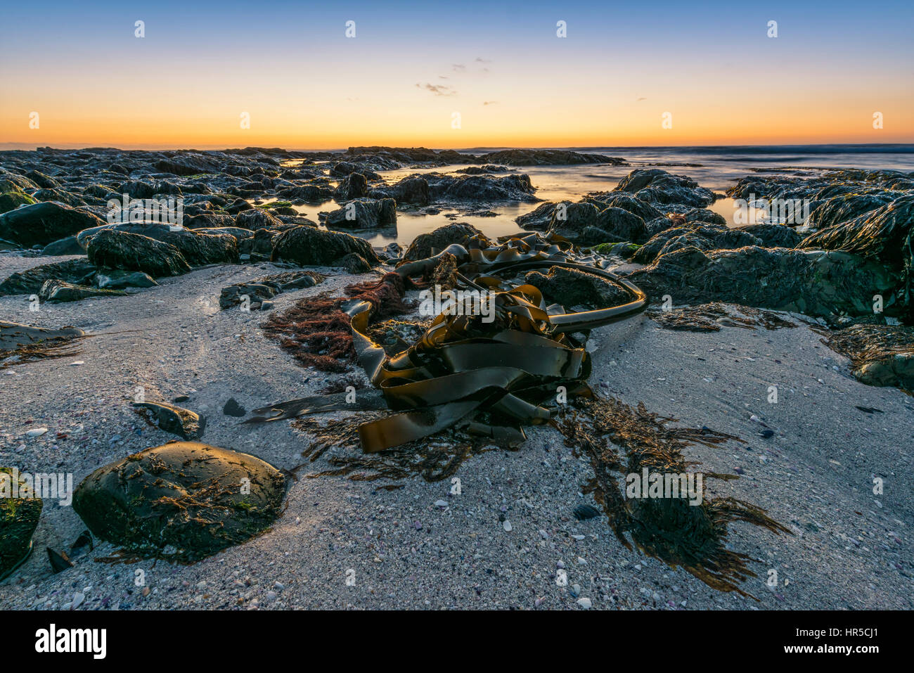 Big Bay at Sunset with Rock Pools, Pebbles and Kelp