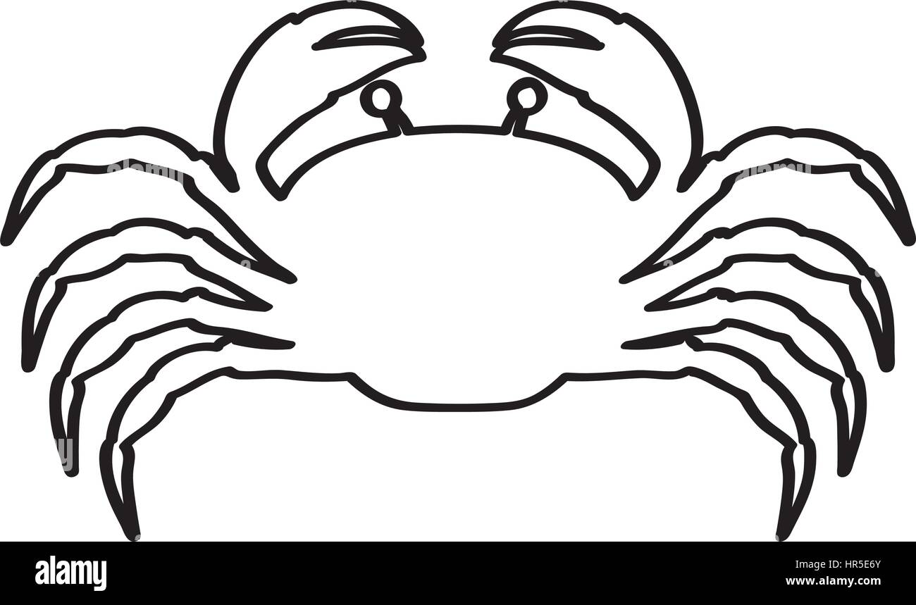 silhouette with line contour of crab Stock Vector Image & Art Alamy
