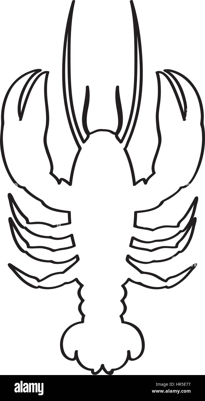 lobster outline