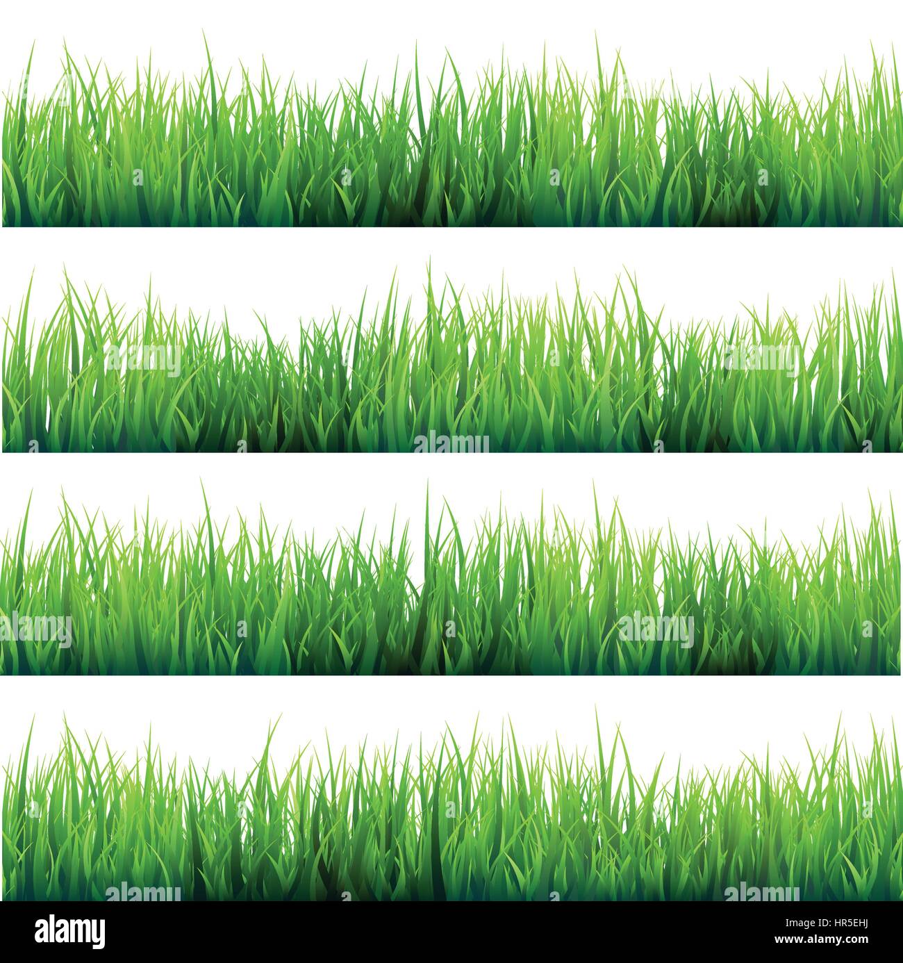 Grass isolated on white set. Green meadow. Nature background. Spring ...