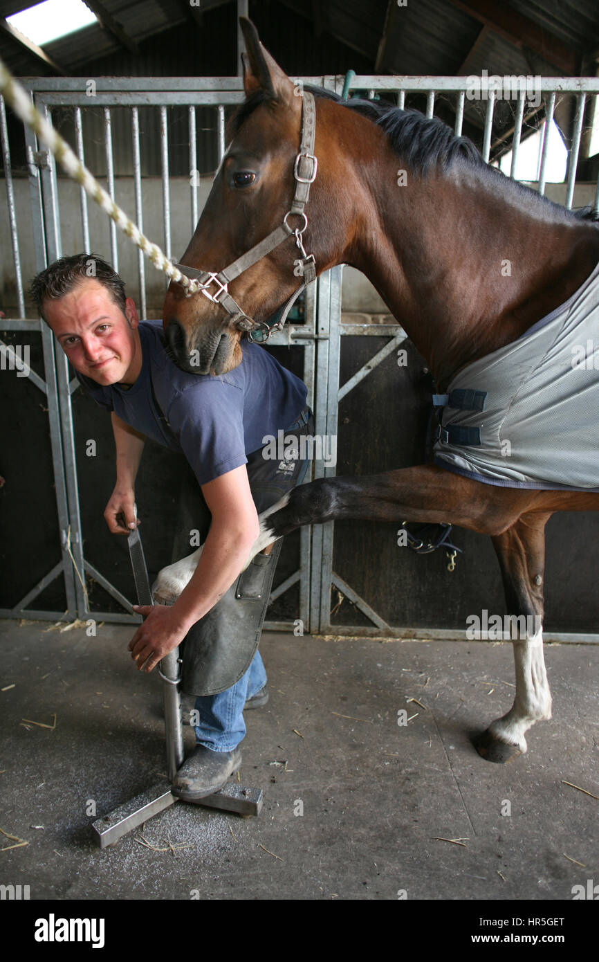 Farrier at work Stock Photo Alamy