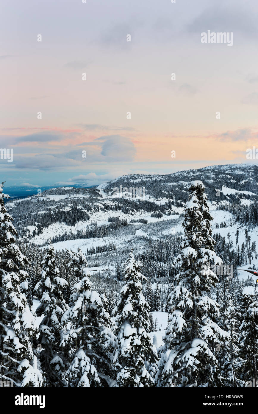 Snow covered mountains and trees Stock Photo - Alamy