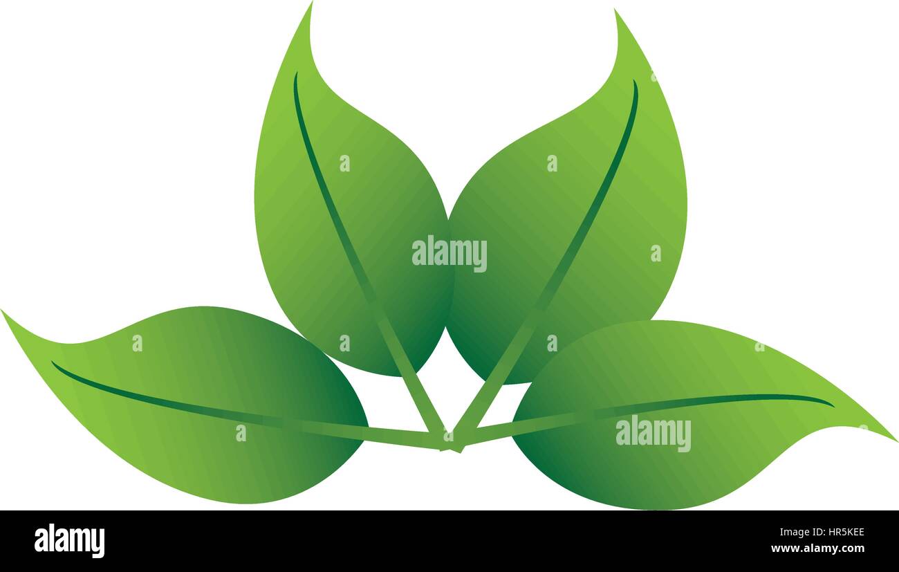 color silhouette with leaves tree plant Stock Vector Image & Art - Alamy