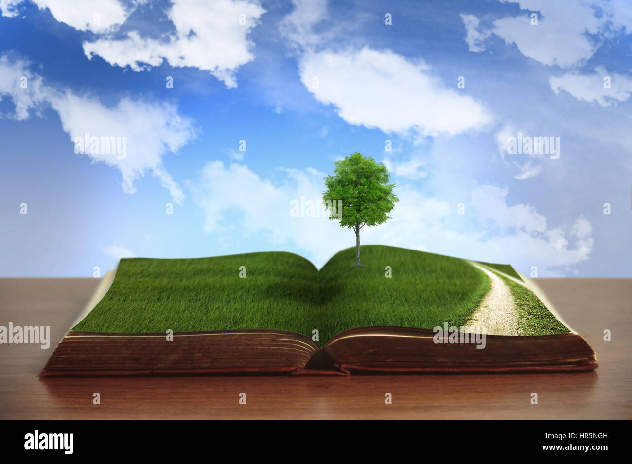 open book with path and blue sky Stock Photo - Alamy