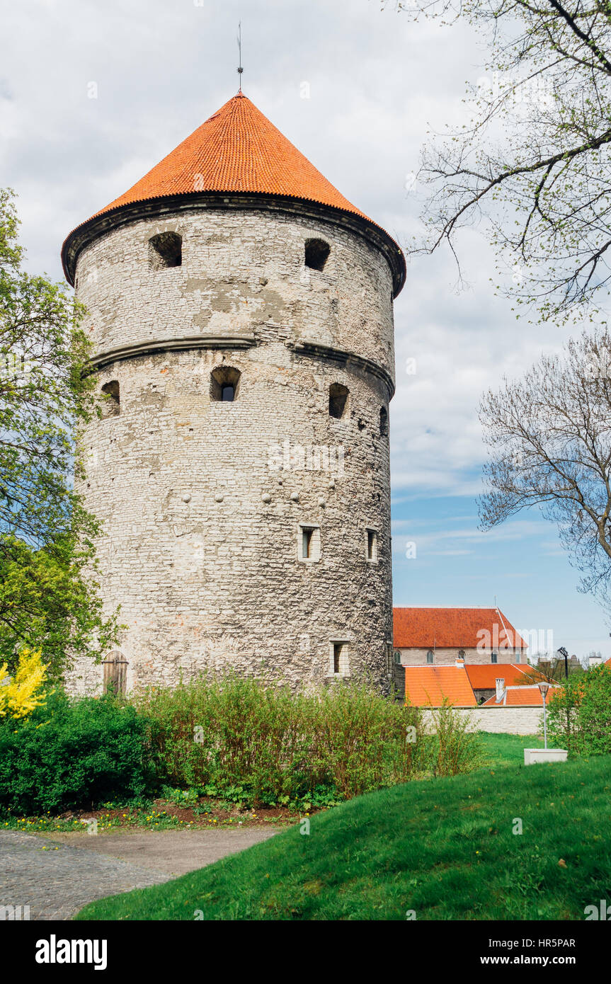 Kiek in de Kok cannon tower by early spring. tallinn, Estonia Stock Photo