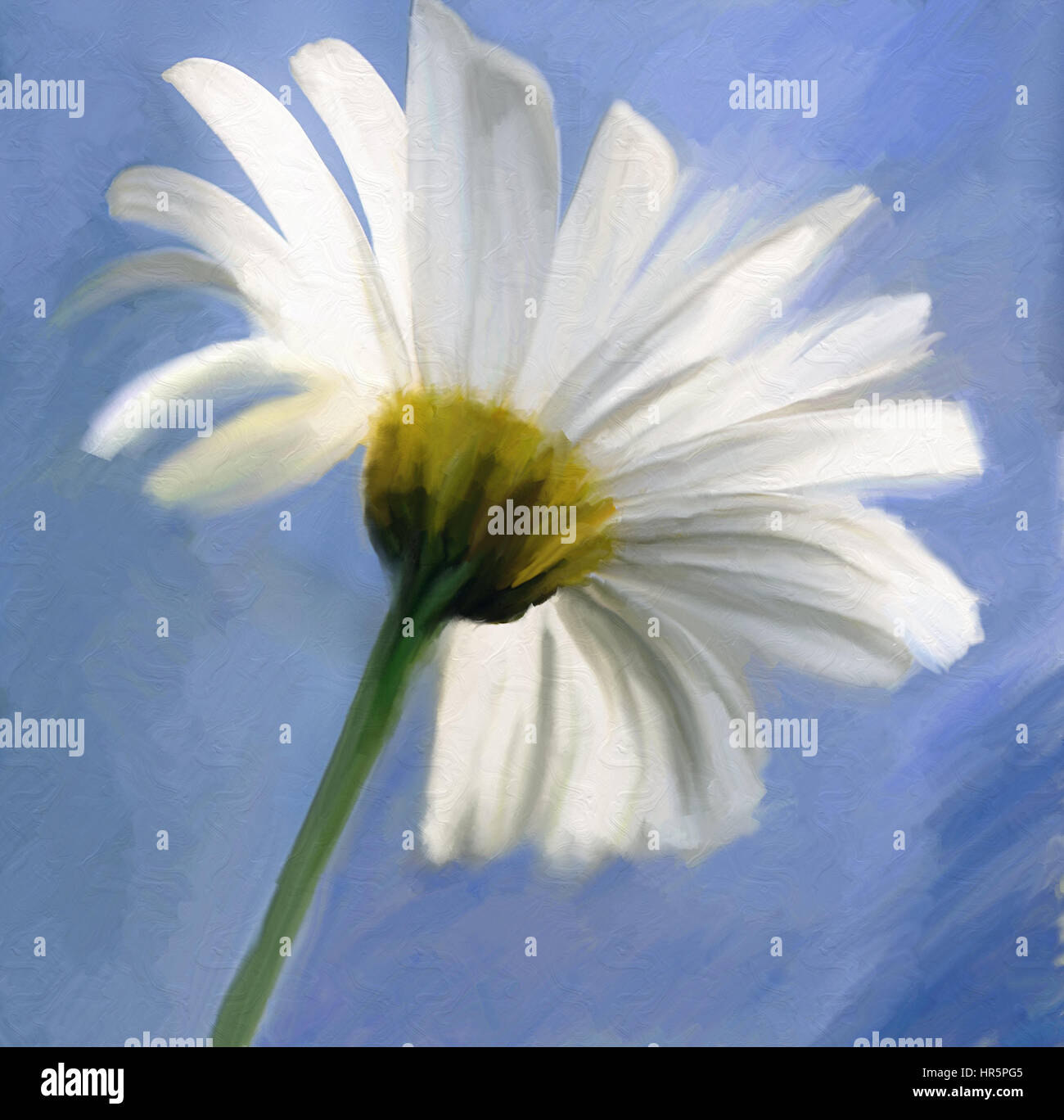 How to Paint a Daisy in Watercolor