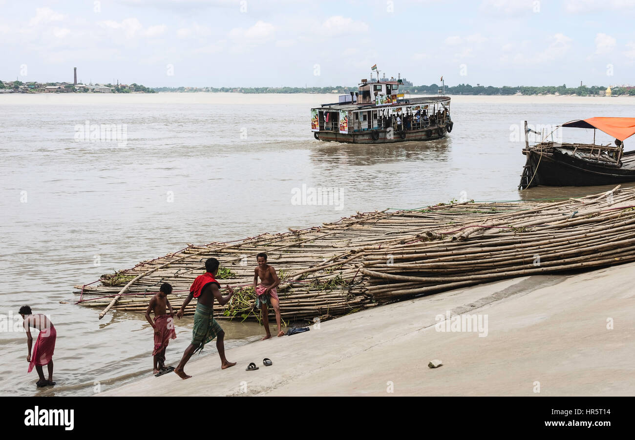 People bathe in the Hoogly as a public ferry transports passengers along the river in summer as bamboo waits to be loaded and transported by barge. Stock Photo