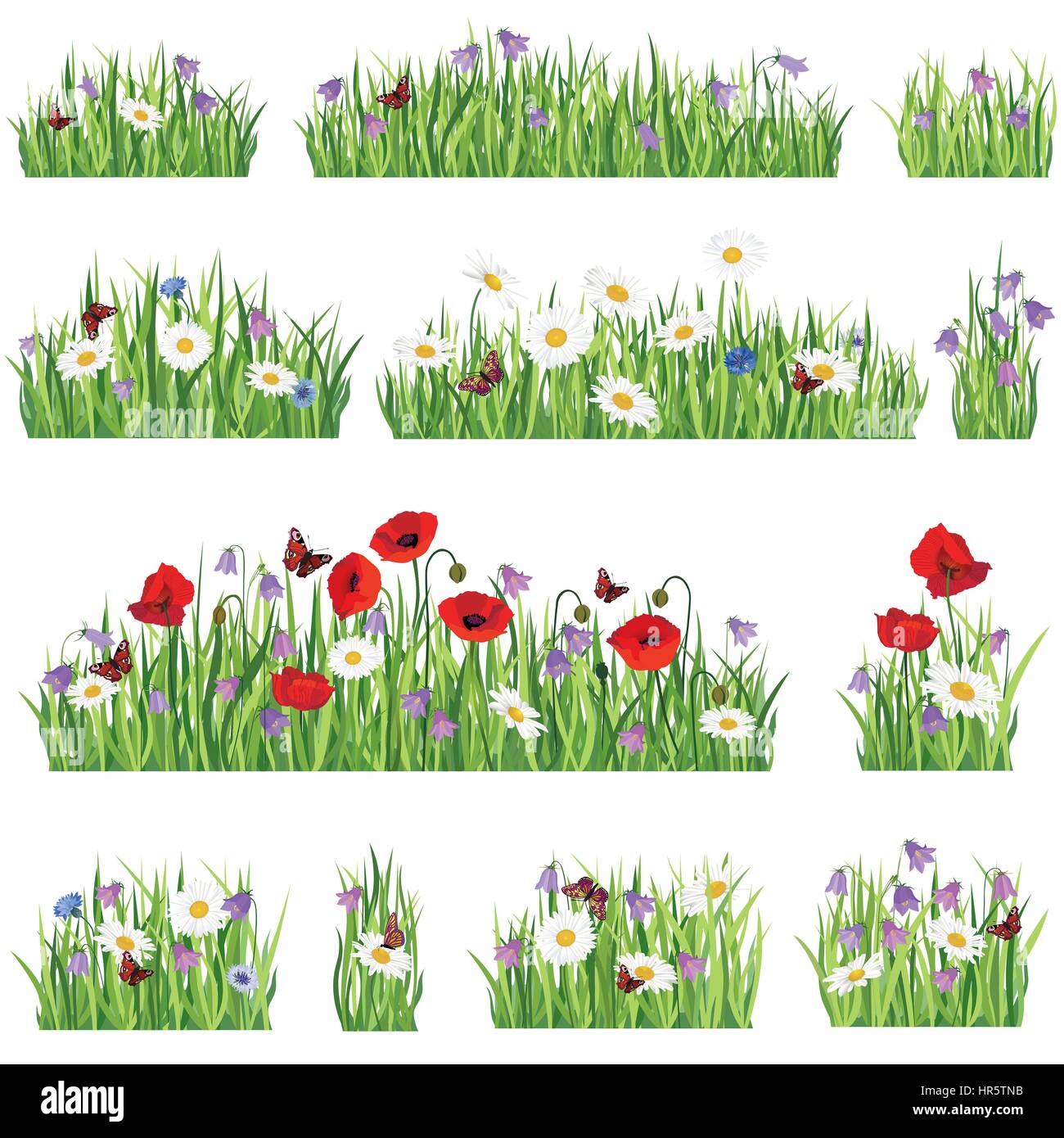 Nature floral collection. Grass background set. Summer flower border collection. Floral summer decor for greeting card Stock Vector