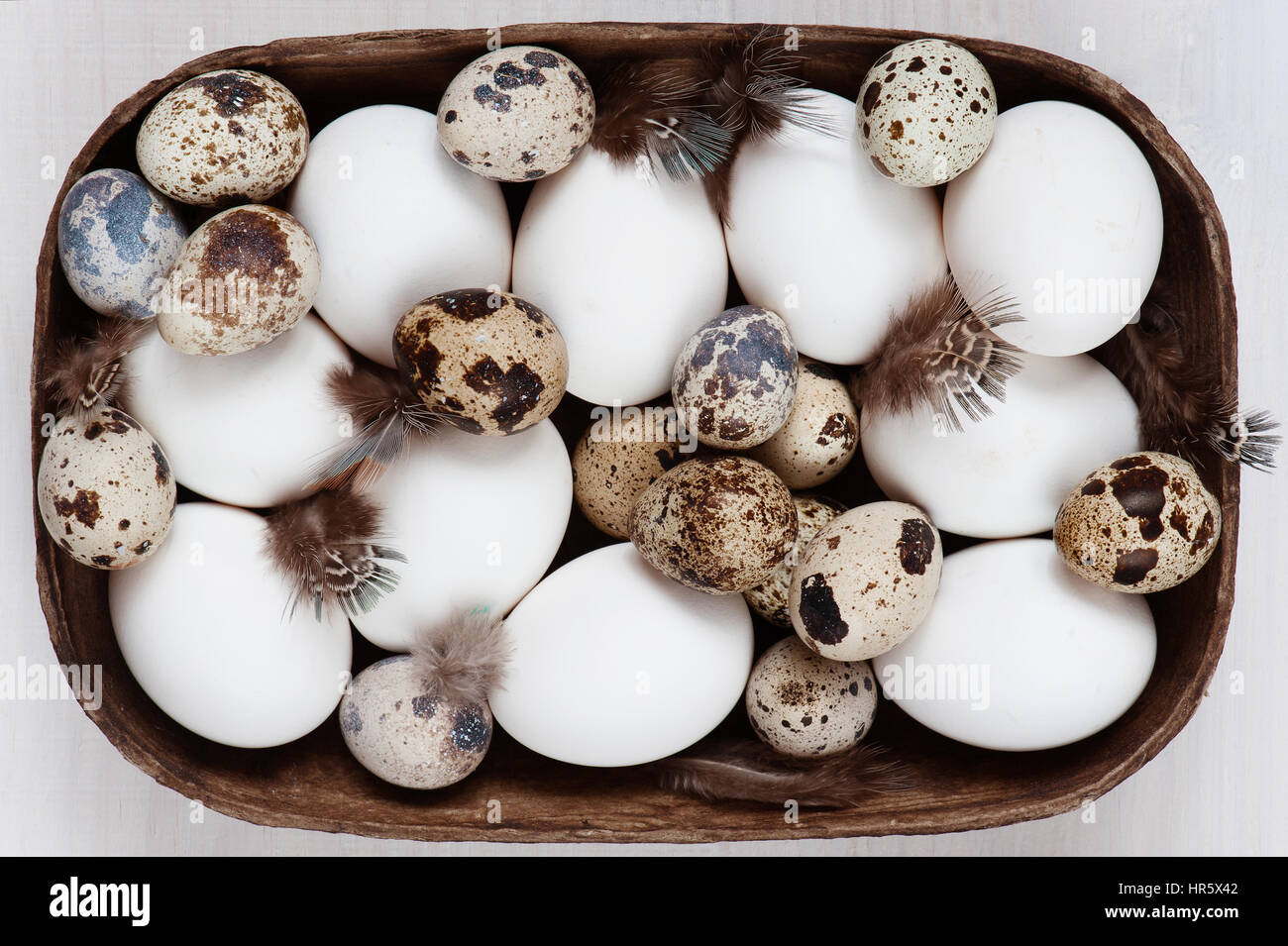 Various fresh raw eggs and feathers on the wooden table Stock Photo - Alamy