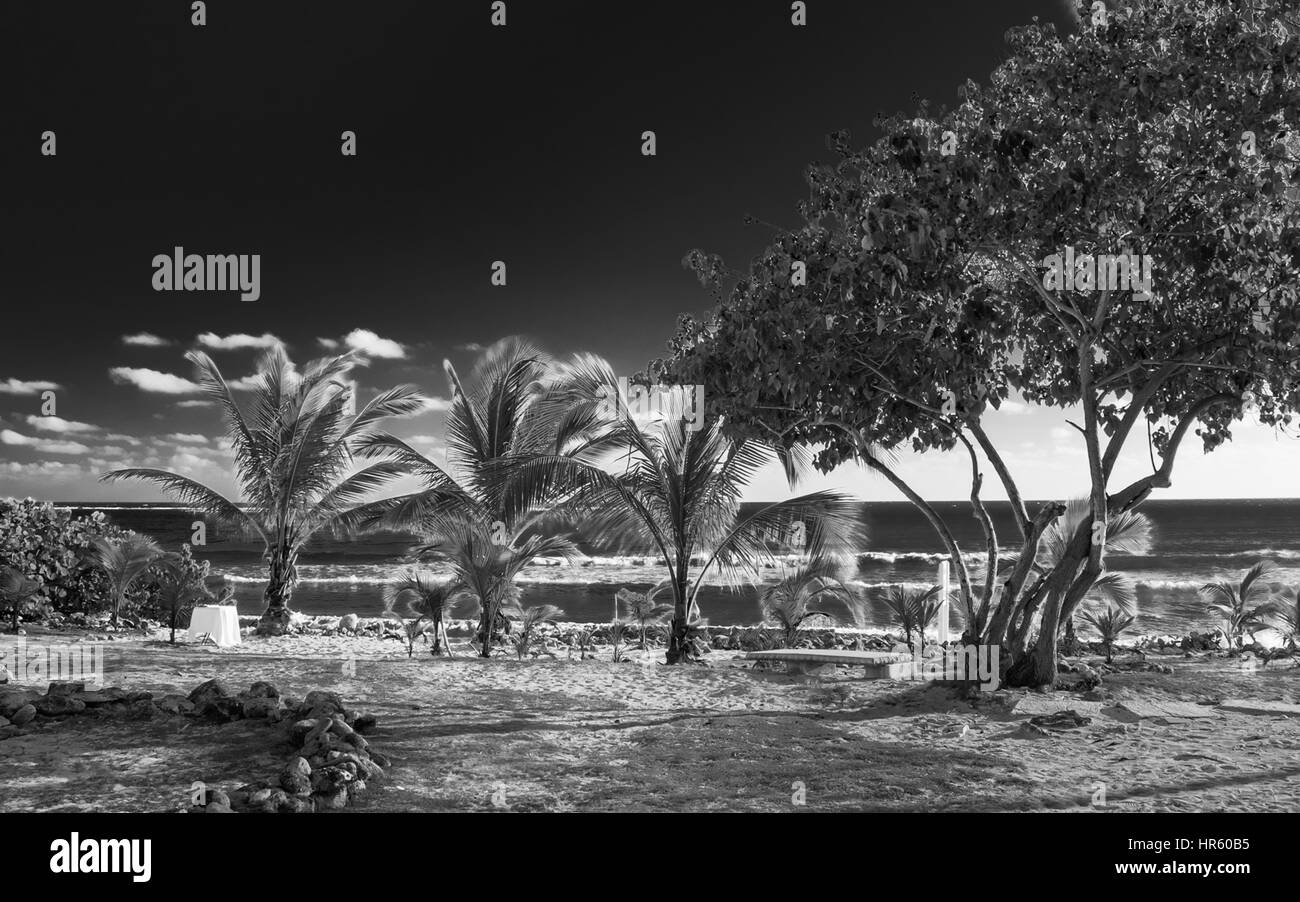 Caribbean community hires stock photography and images Alamy