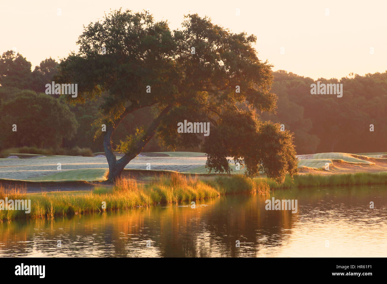 This landscape shows the Kiawah Island Club's River course golf course in the early morning light. Kiawah Island, South Carolina. Stock Photo