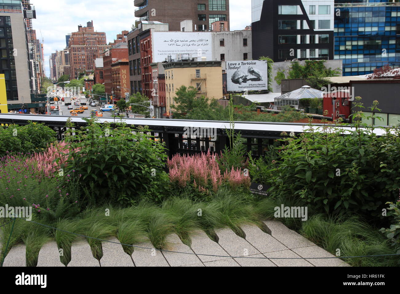 Elevated view from The High Line down West 17th Street. Foreground shows the vibrant flowers and shrubs planted in the park Stock Photo