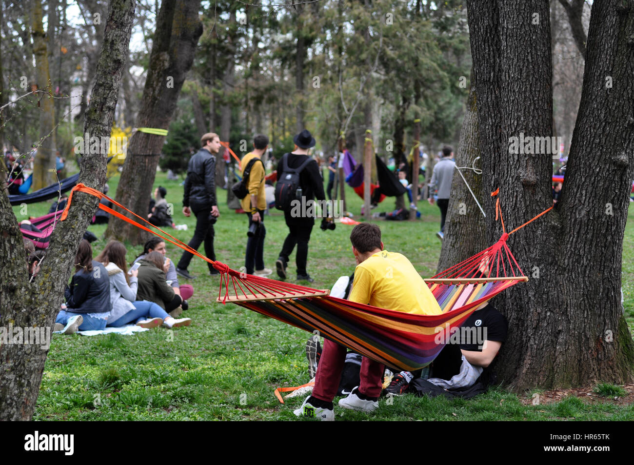 CLUJNAPOCA, ROMANIA APRIL 1, 2016 Young people relaxing in hammocks