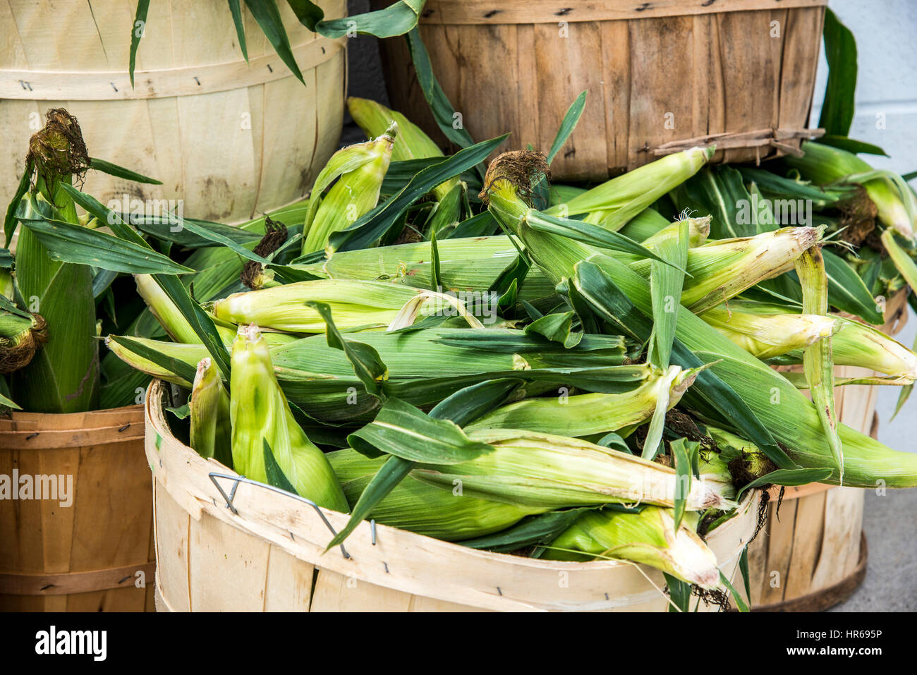 Bushel of corn hires stock photography and images Alamy
