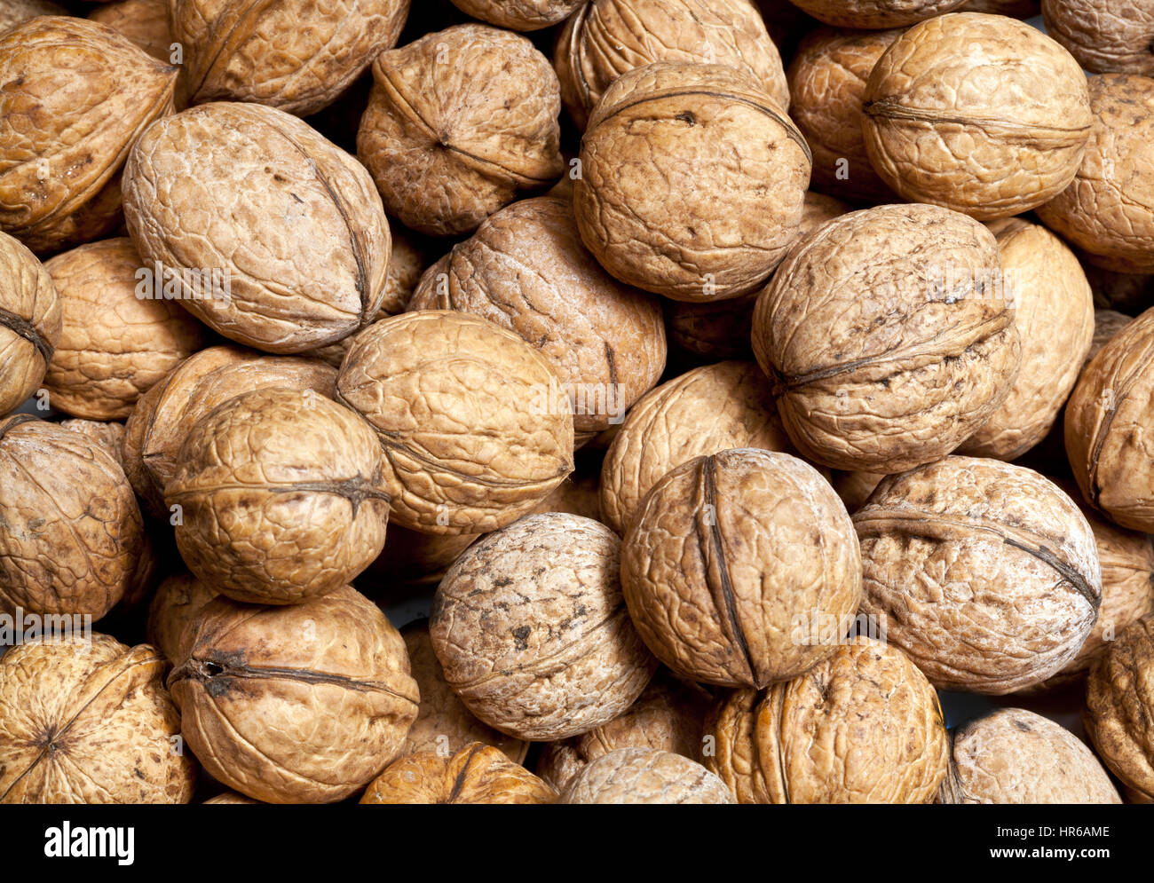 walnuts in shell Stock Photo Alamy