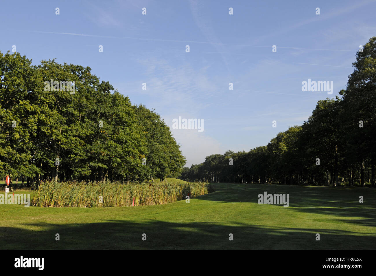 View the 5th Tee with a pond to the left, The Drift Golf Club, East