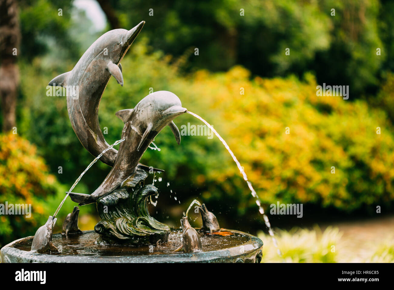 Fountain In The Form Of A Dolphin Statue In The Batumi Botanical Garden. Batumi, Adjara Georgia. Sunny Day At Summer Season. Stock Photo