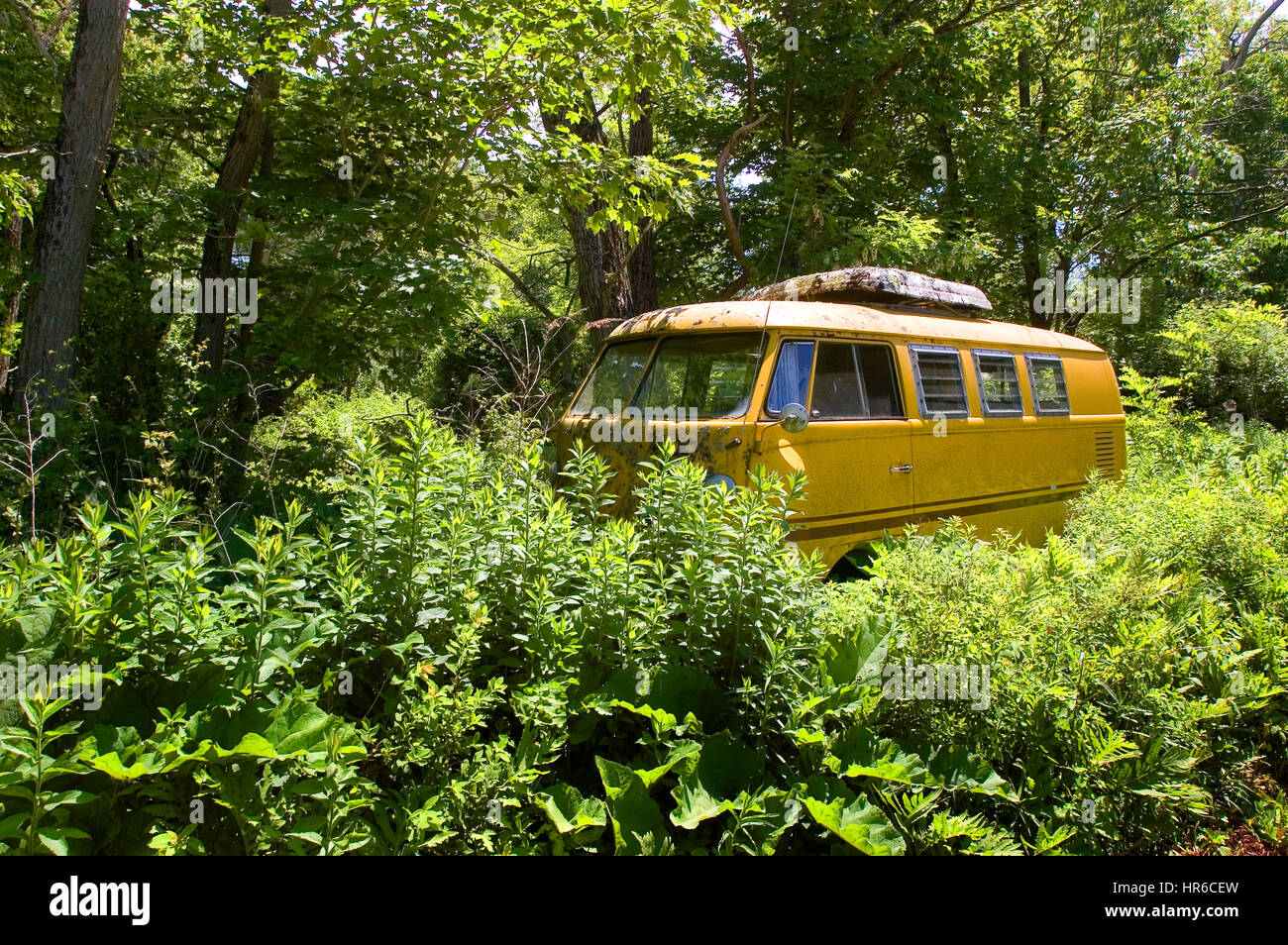 An old Volkswagon Bus. Abandoned in the woods near Cushing, Maine Stock Photo