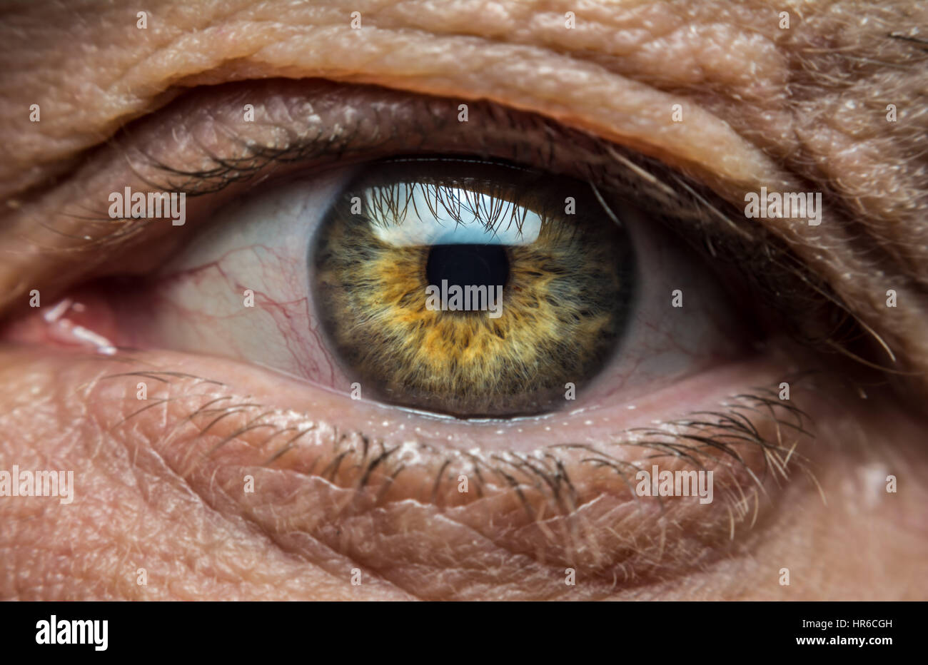 The eye of an old man Stock Photo