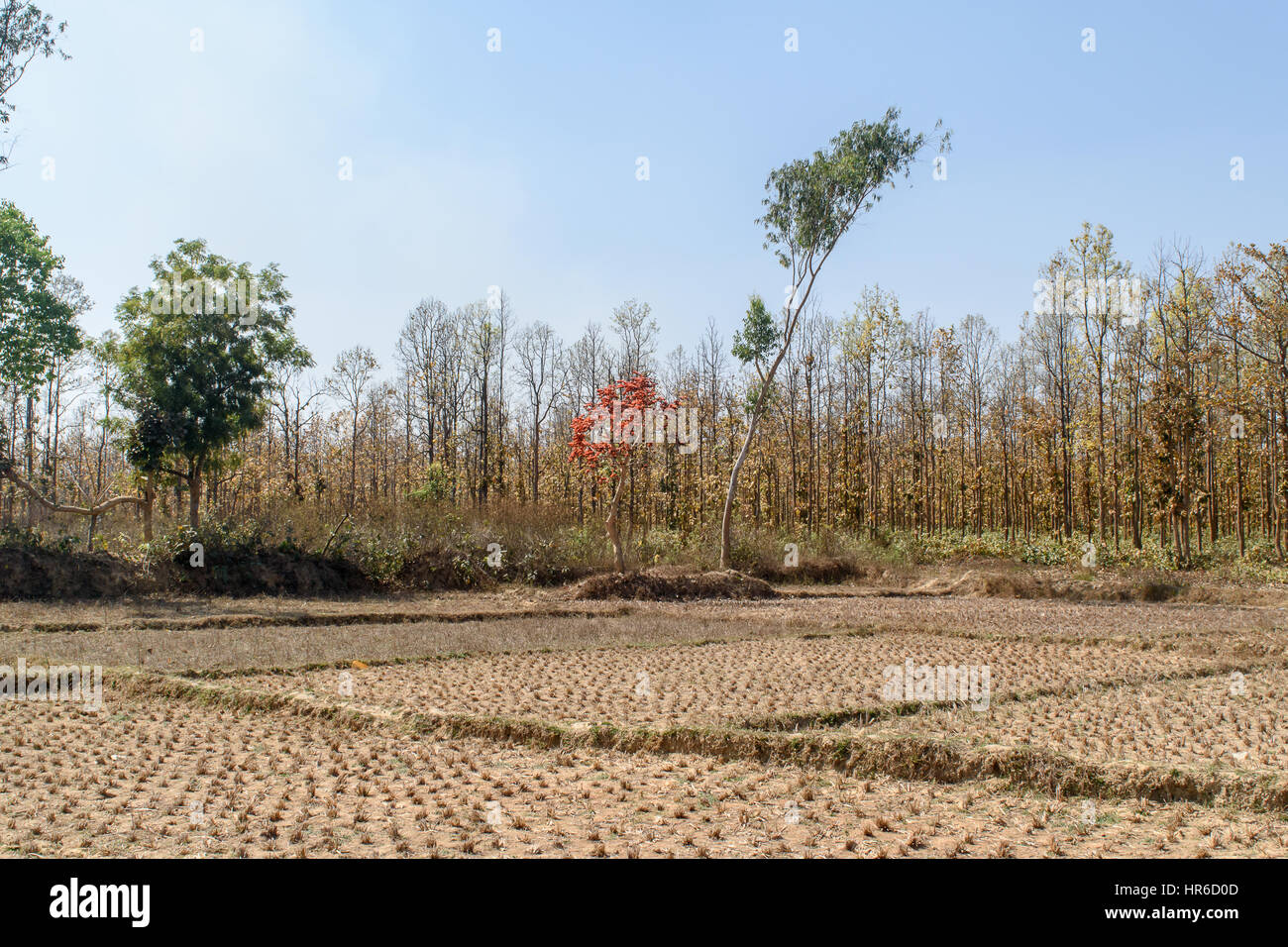 Barren agriculture land Stock Photo - Alamy