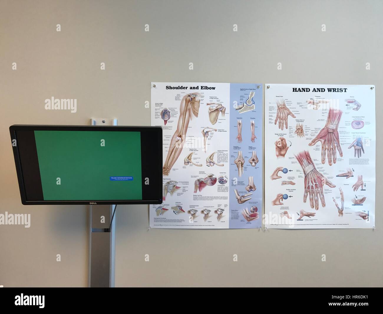 Orthopedics office Stock Photo