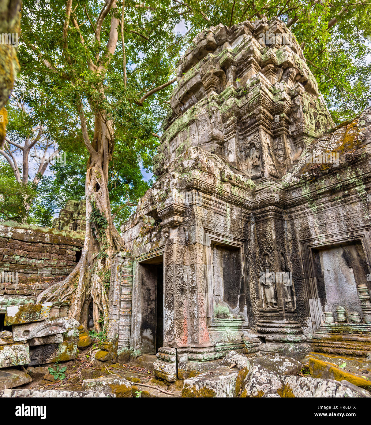 Ta Prohm Temple at Angkor in Cambodia Stock Photo