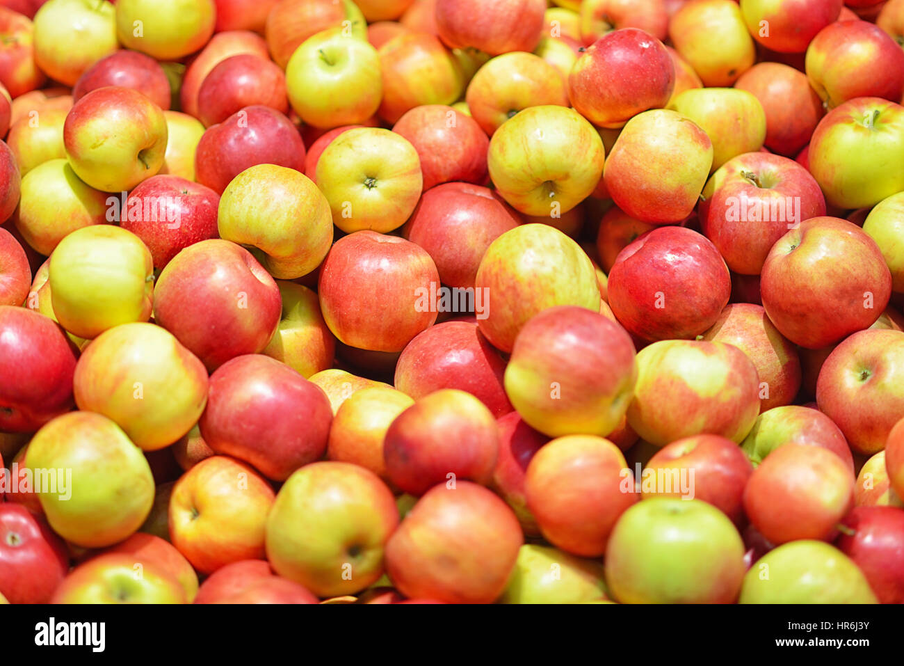 Fresh red apples inside green hi-res stock photography and images - Alamy