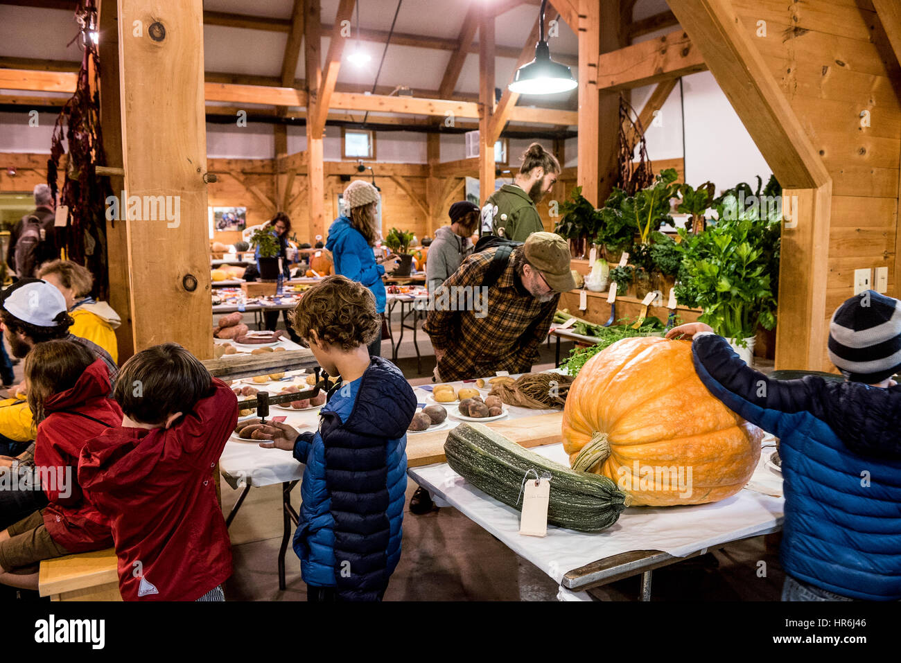 common ground country fair is a unique celebration of rural new england