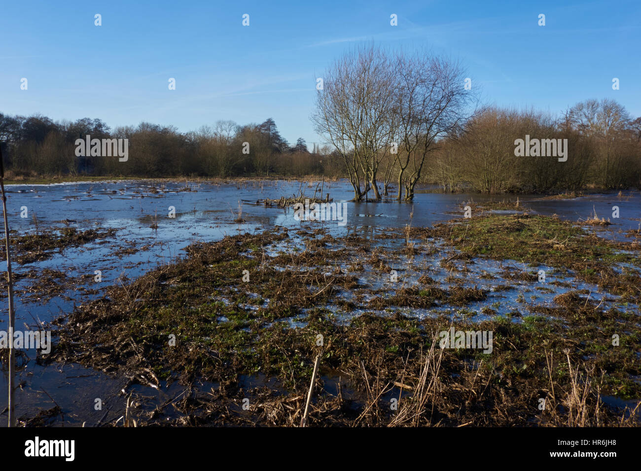 Shalford water meadows hires stock photography and images Alamy