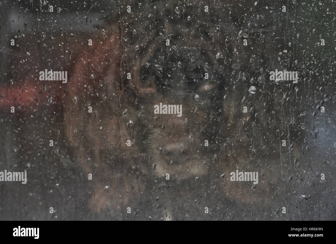 East Sussex, UK. 27th February 2017. Sad looking dog looking out of a rain splashed window in Ripe, East Sussex, as wet and windy weather continues. Credit: Peter Cripps/Alamy Live News Stock Photo