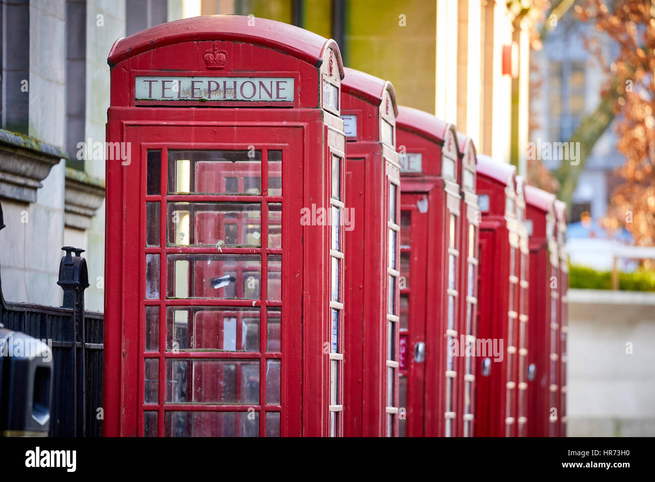 Autumn golden light a row of red telephone boxes in Preston town centre, Lancashire, England, UK Stock Photo