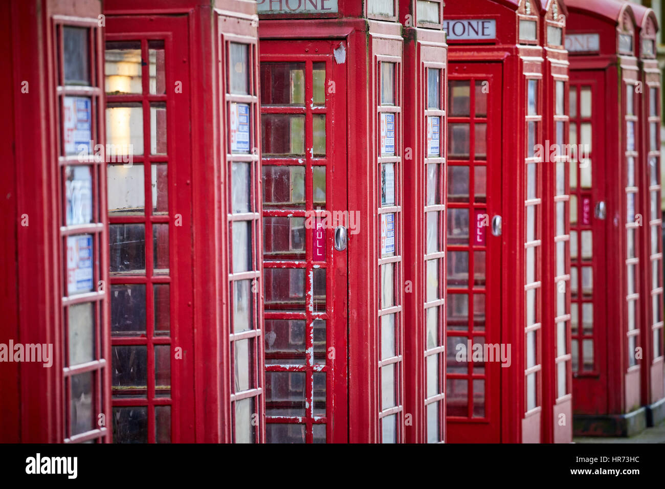 Autumn golden light a row of red telephone boxes in Preston town centre, Lancashire, England, UK Stock Photo