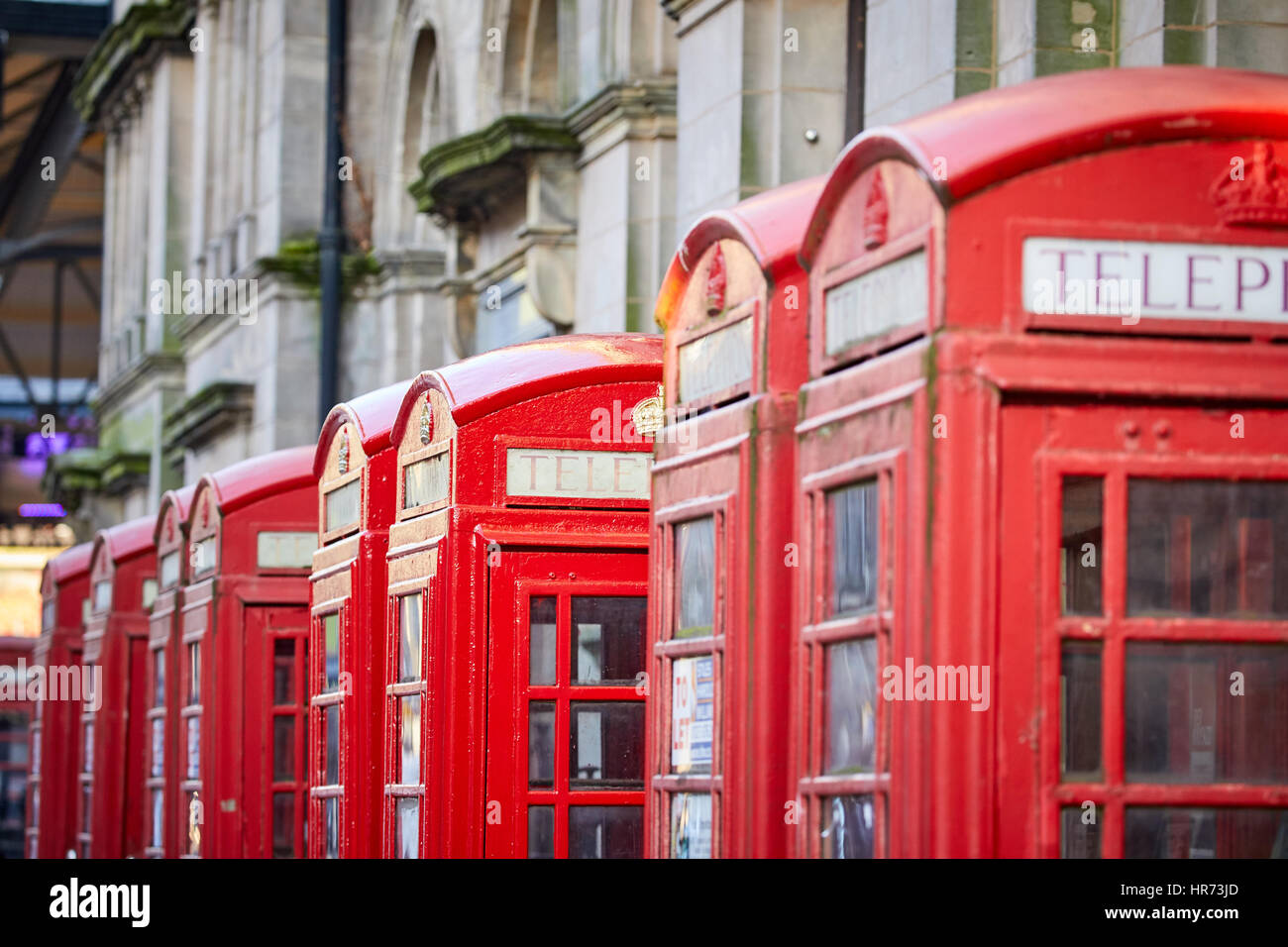 Autumn golden light a row of red telephone boxes in Preston town centre, Lancashire, England, UK Stock Photo