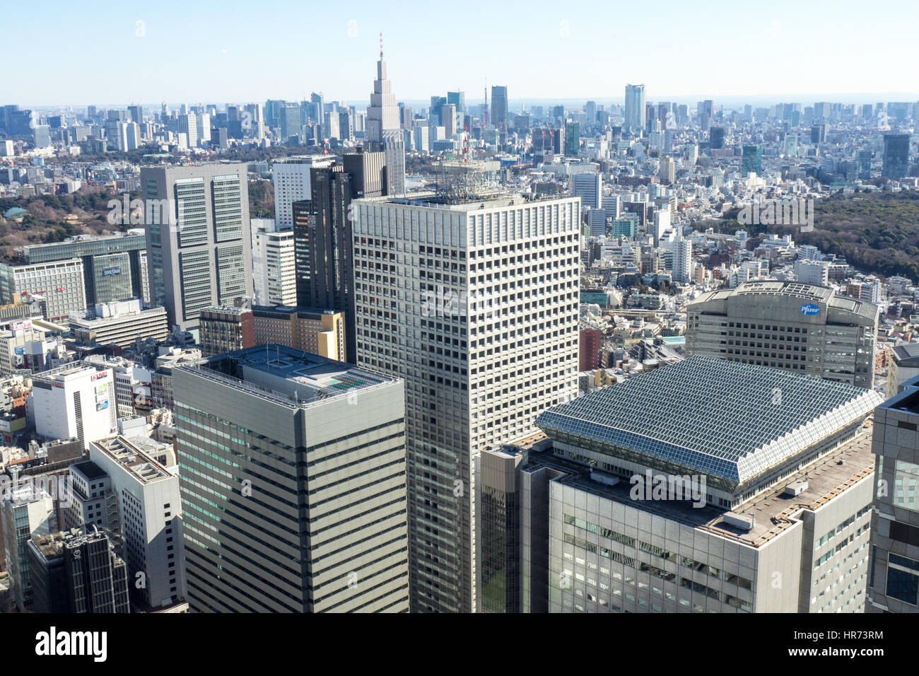 Panoramic view of Tokyo metropolis from the observation deck of the 