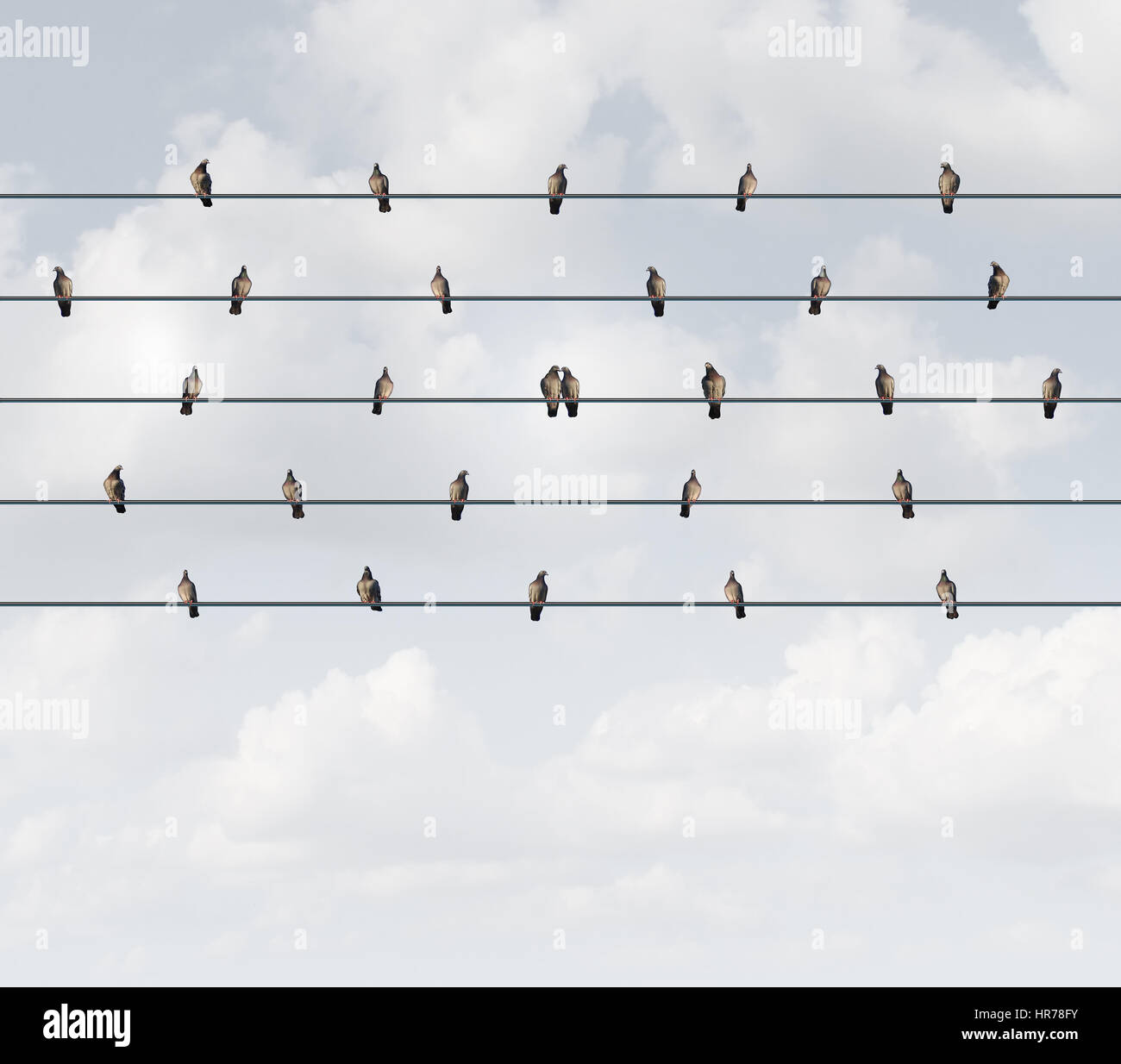 Online dating and connect with a partner concept as a group of birds on a wire with a loving couple bonded together as a metaphor. Stock Photo