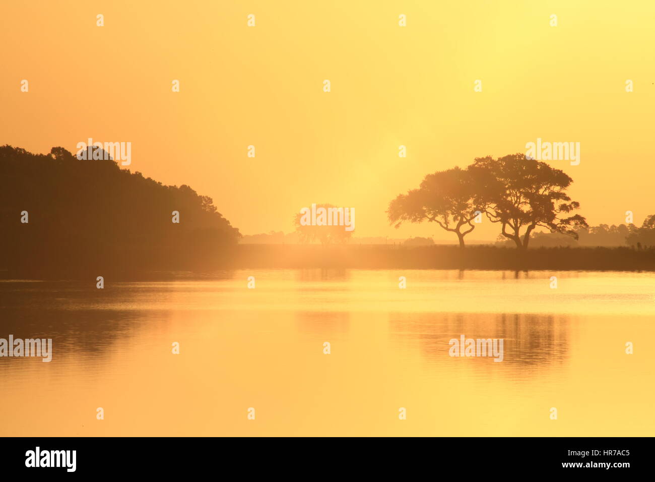 Sunrise on Bass Pond on Kiawah Island, South Carolina. The sky is golden and there's a pretty reflection of Live Oak trees in the water. Stock Photo