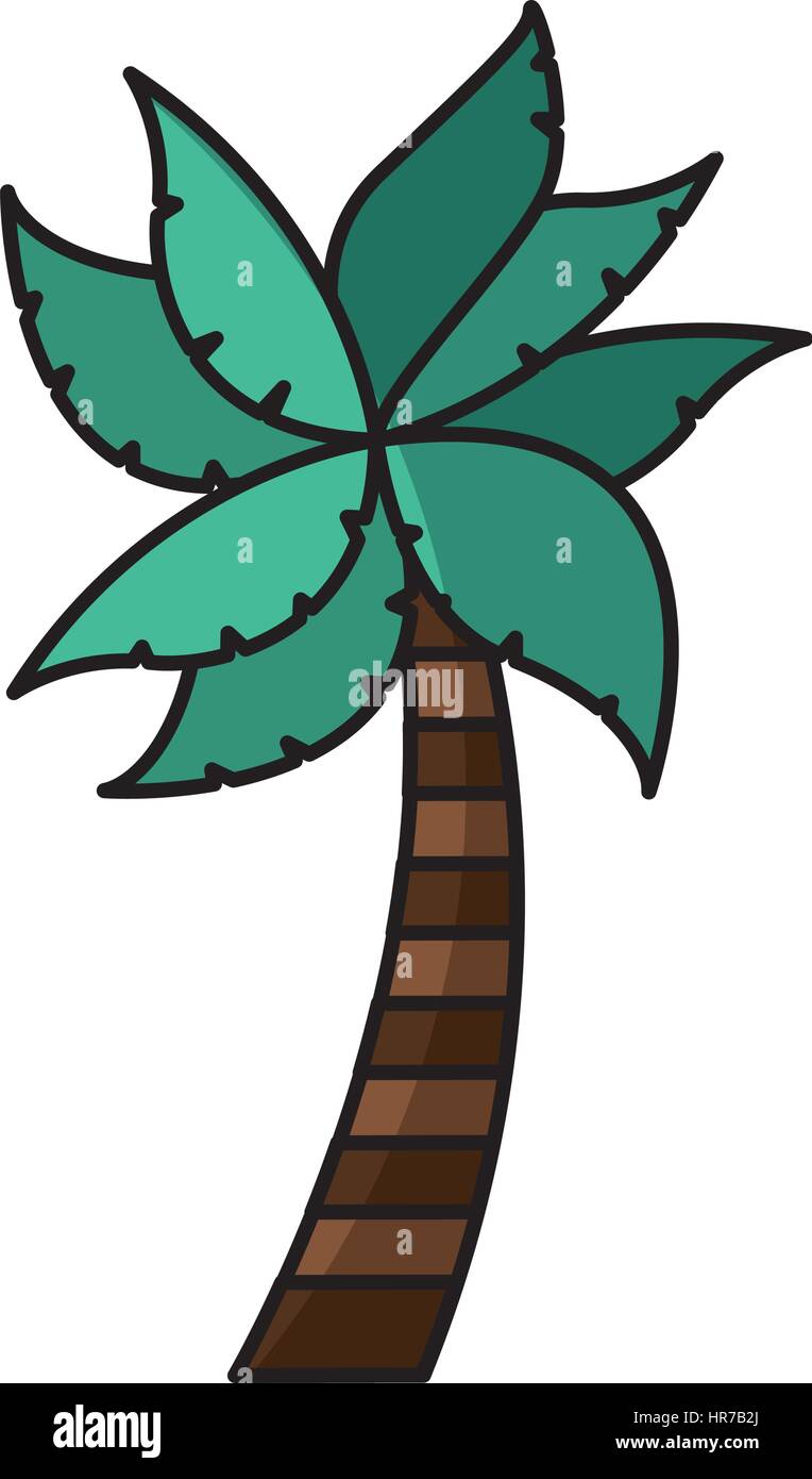 tree palm isolated icon Stock Vector Image & Art - Alamy