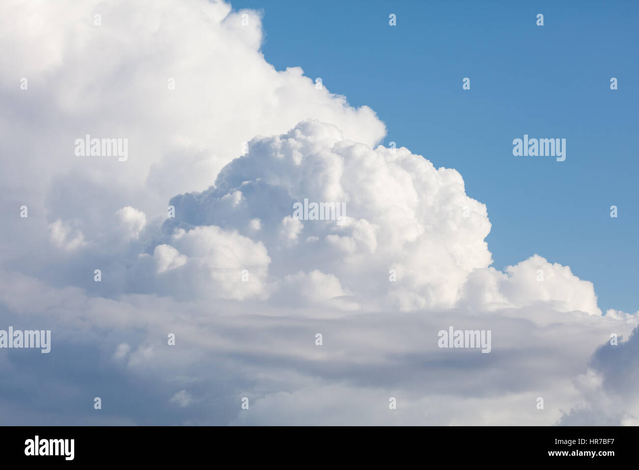 Cloud and blue sky for background use Stock Photo