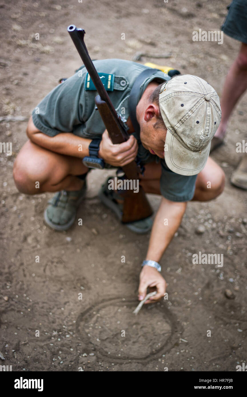 A walking safari guide points out the bushcraft of how to track wild animals on safari in Kruger National Park South Africa. Stock Photo