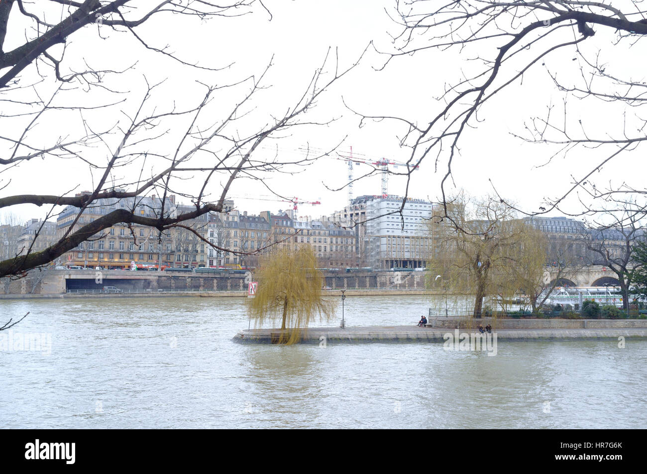 A yellow green weeping willow tree in the middle of the River Seine, Paris Stock Photo