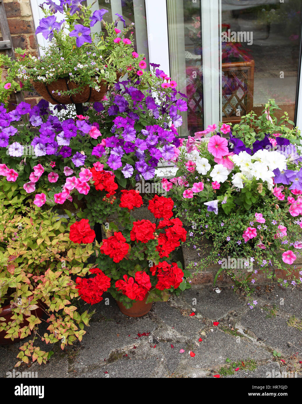 Colourful display of summer bedding plants Stock Photo