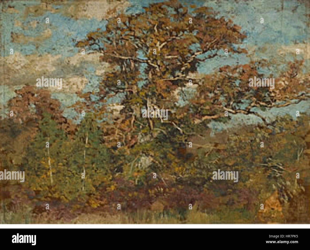 Spreading Oak, Allen Butler Talcott Stock Photo - Alamy
