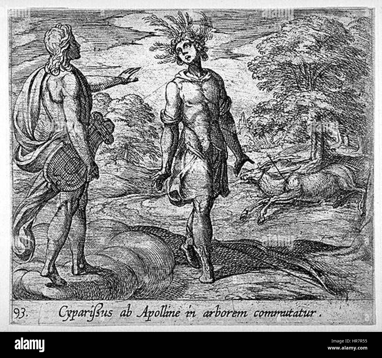 Tempesta, Antonio (15551630) Cyparissus ab Apolline in arborem