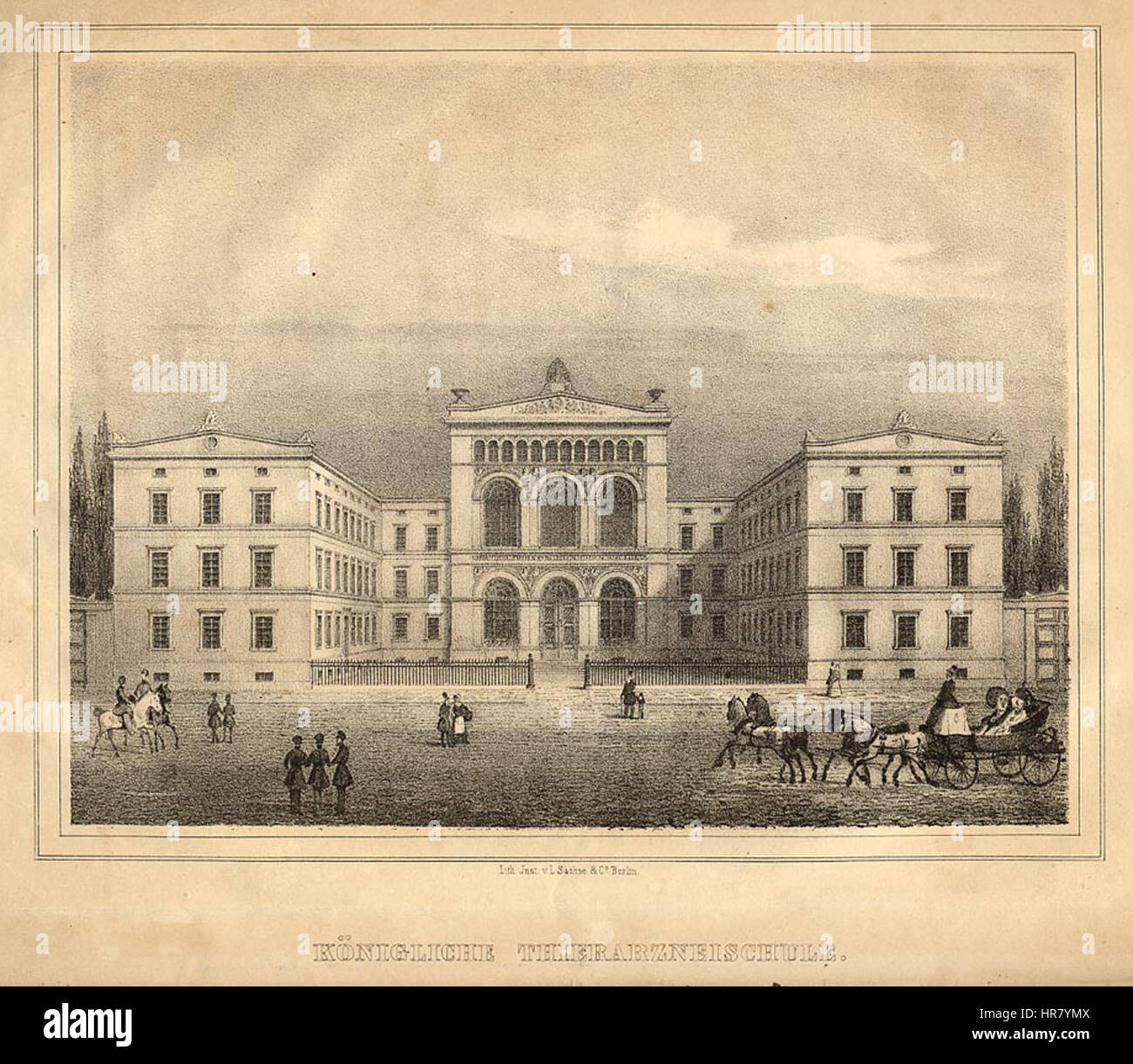 Tierarzneischule hires stock photography and images Alamy