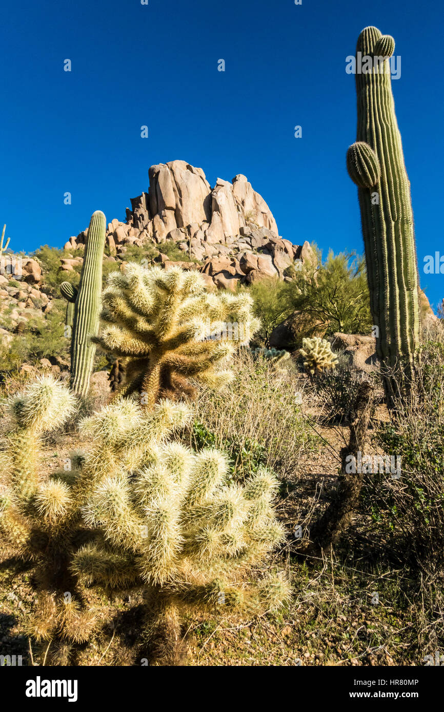 Pinnacle Peak Park in Scottsdale, Arizona, USA Stock Photo Alamy