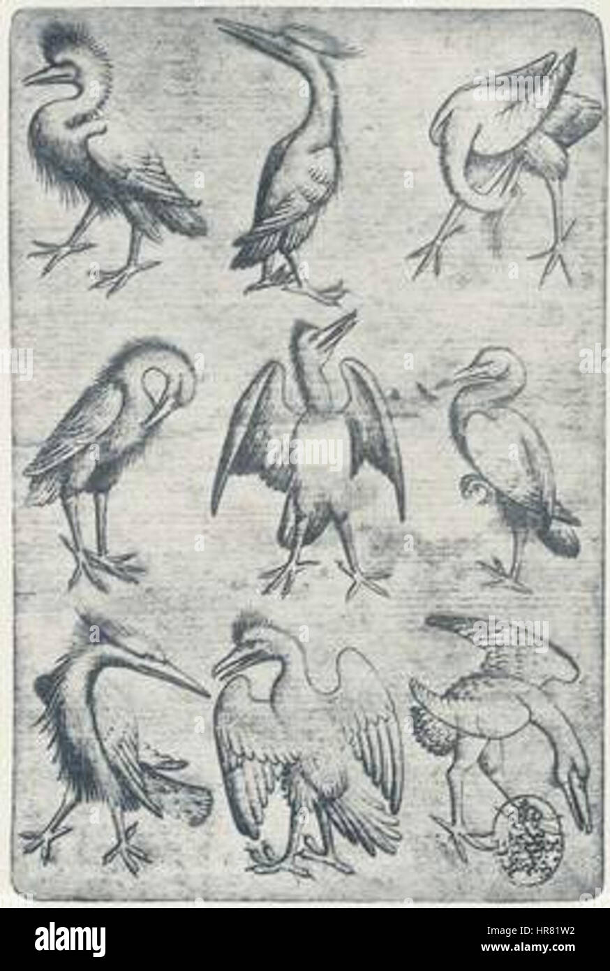 Vogel-Neun (Meister der Spielkarten) Stock Photo
