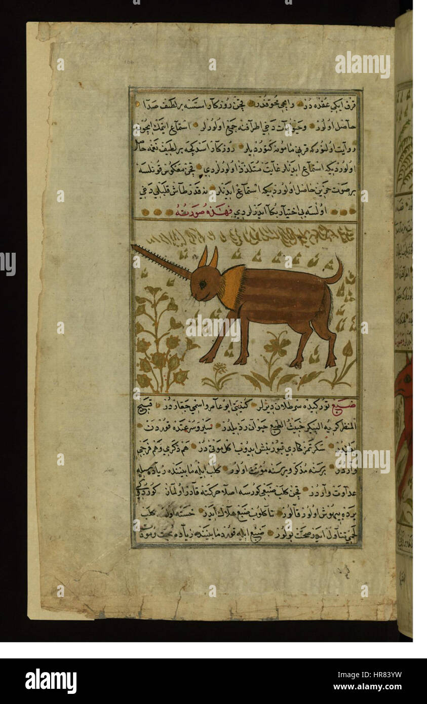Zakariya ibn Muhammad Qazwini An Animal with One Horn (Name Illegible
